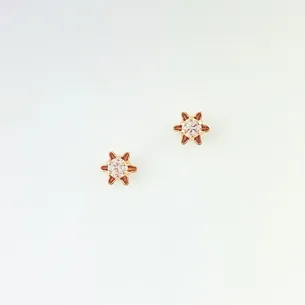 BRINCO FLOR COM ZIRCONIA PEQUENA